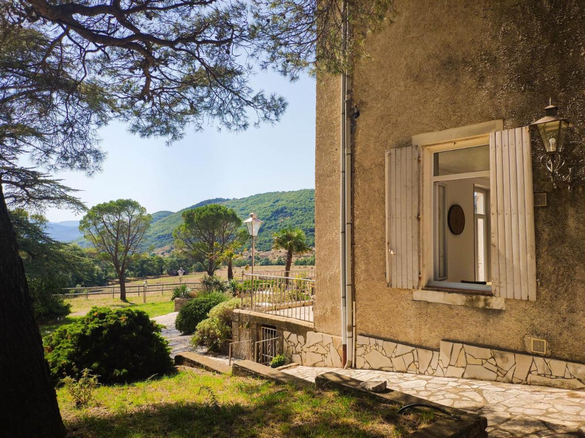 Le Cedre De Prades 4 Etoiles Entier Parc Naturel Languedoc - Salagou *